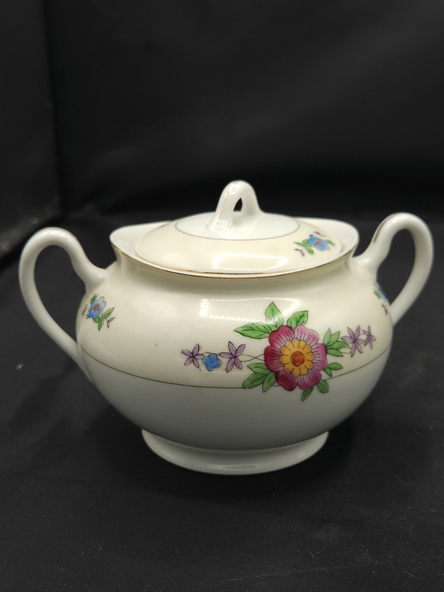 Vintage 50's Japanese Meito Hand Painted Porcelain Tea Service