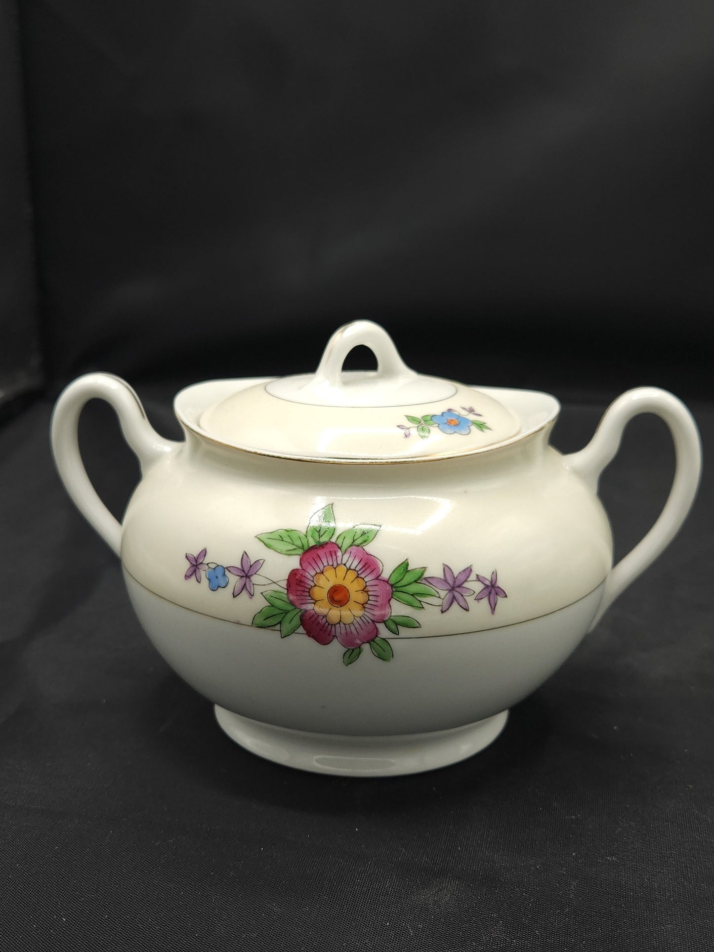 Vintage 50's Japanese Meito Hand Painted Porcelain Tea Service
