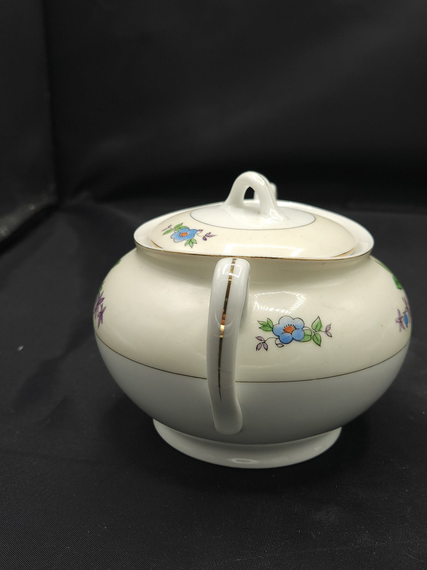 Vintage 50's Japanese Meito Hand Painted Porcelain Tea Service